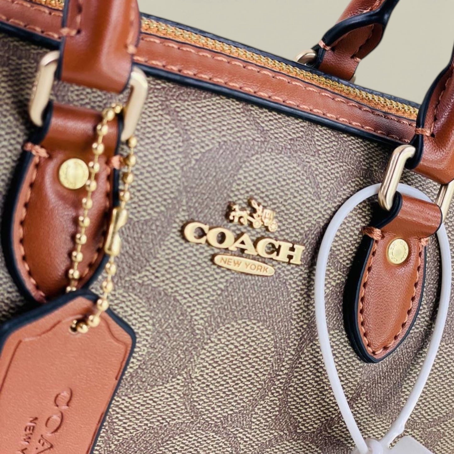 COACH Rowan Satchel Bag In Signature Canvas
