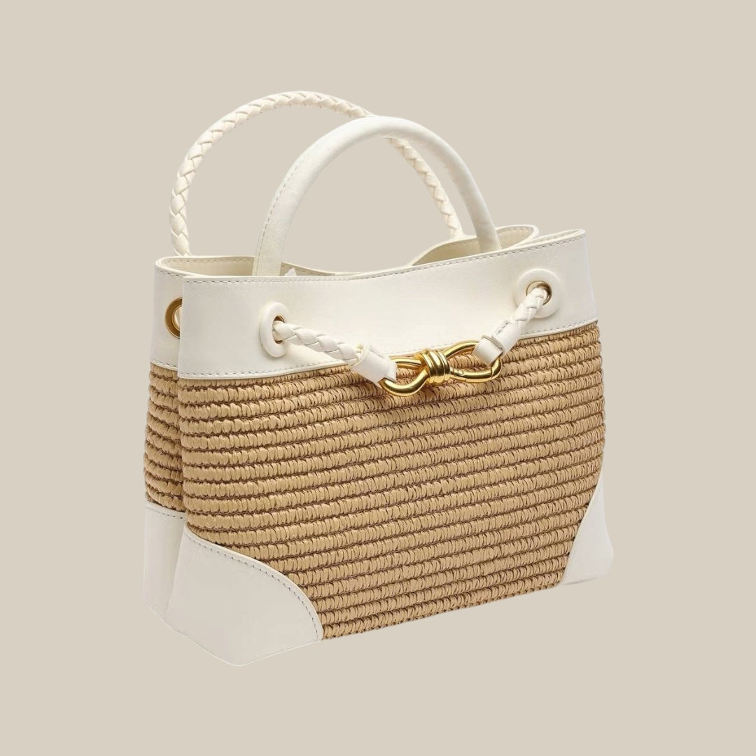 Bottega veneta small andiamo bag