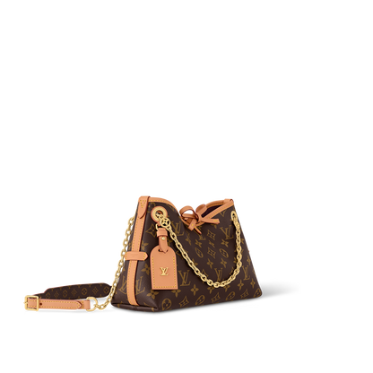 Louis Vuitton CarryAll BB bag