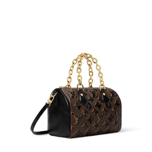 Louis Vuitton Speedy Bandoulière 20 bag