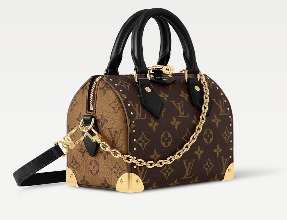LOUIS VUITTON SPEEDY TRUNK 20 BAG