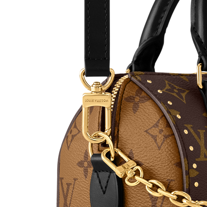 LOUIS VUITTON SPEEDY TRUNK 20 BAG