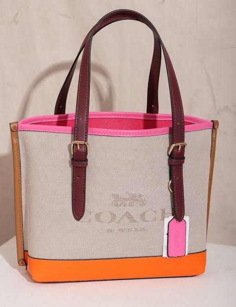 Coach Mollie Tote Bag
