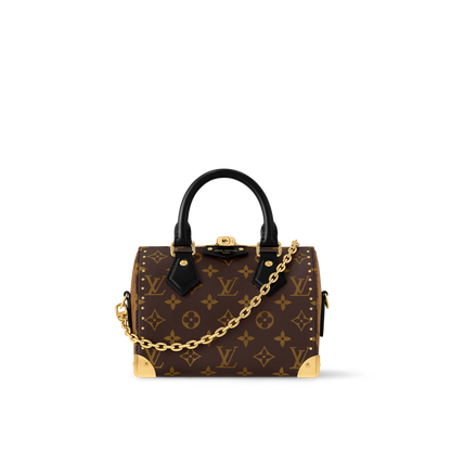 LOUIS VUITTON SPEEDY TRUNK 20 BAG