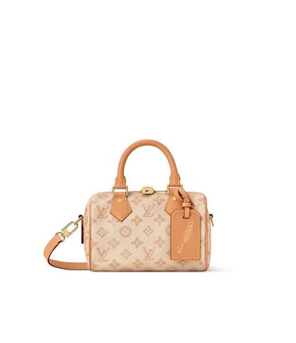 Louis Vuitton Nano Speedy