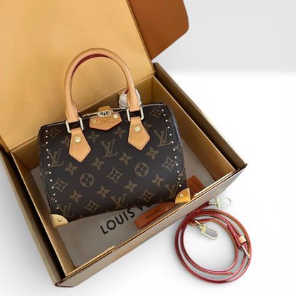 LOUIS VUITTON SPEEDY TRUNK 20 BAG
