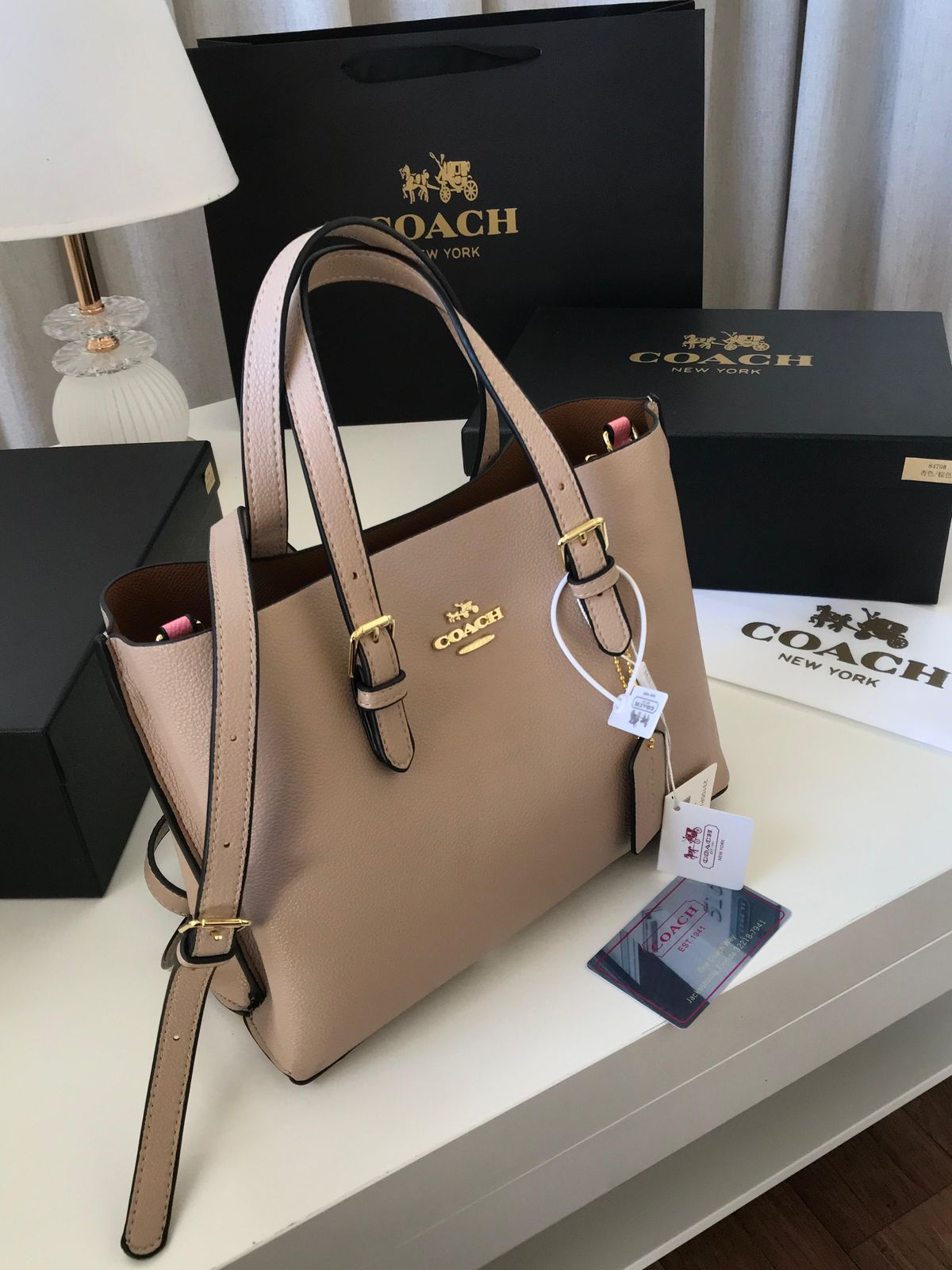 Coach Mollie Tote bag