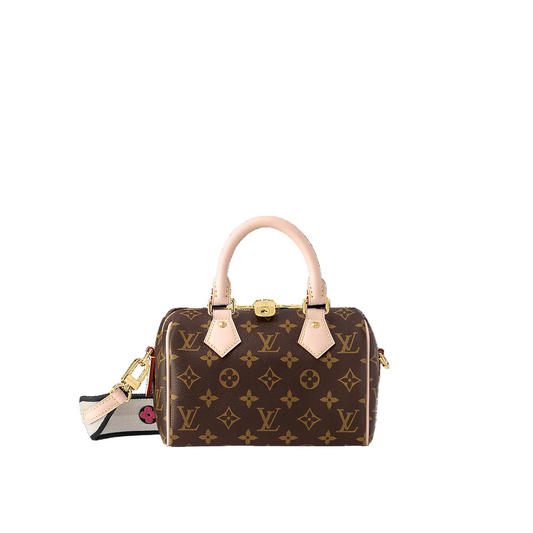 Louis Vuitton Speedy Bandoulière 20 handbag