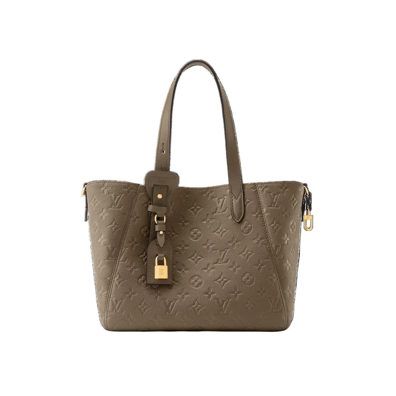 Louis Vuitton All In One PM