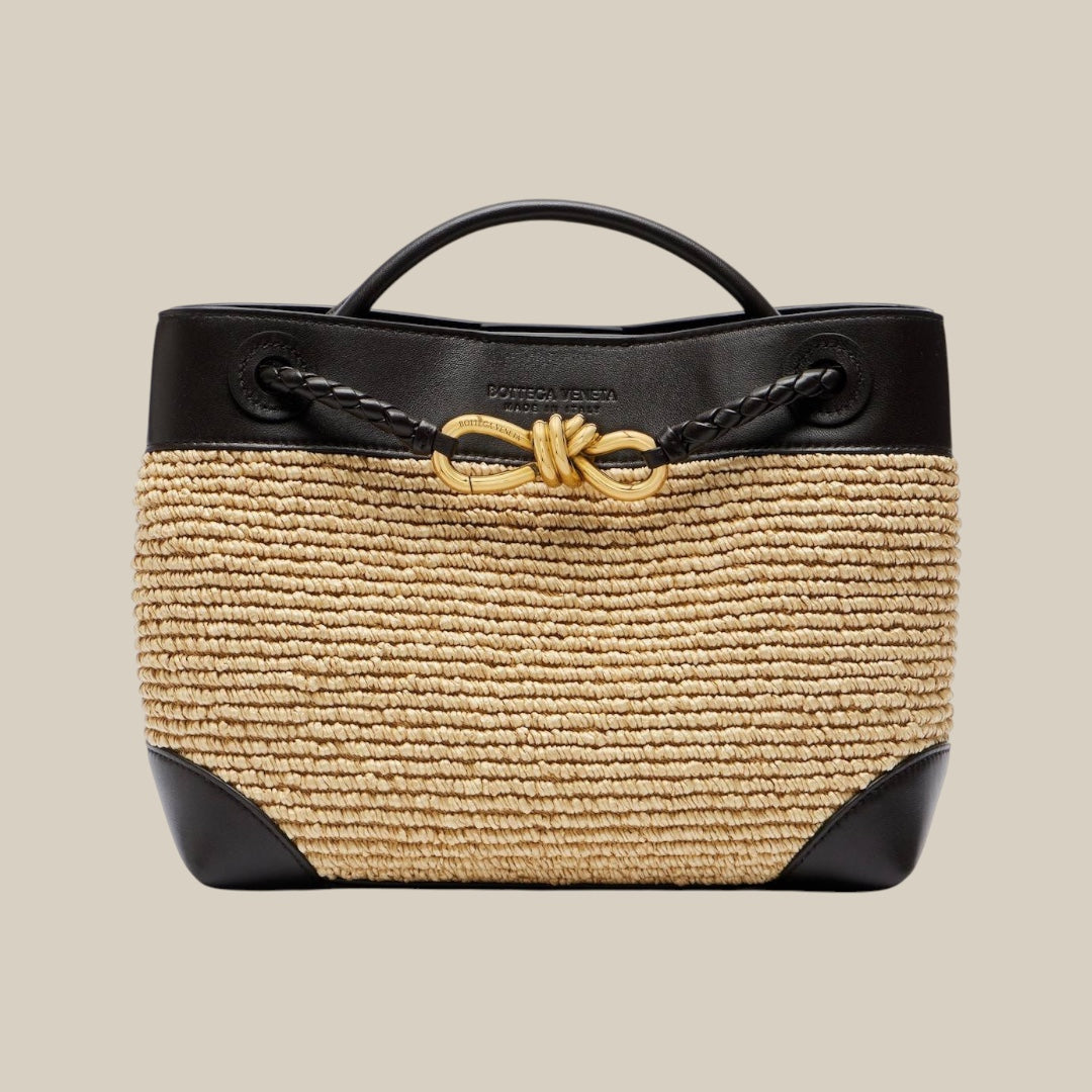Bottega veneta small andiamo bag