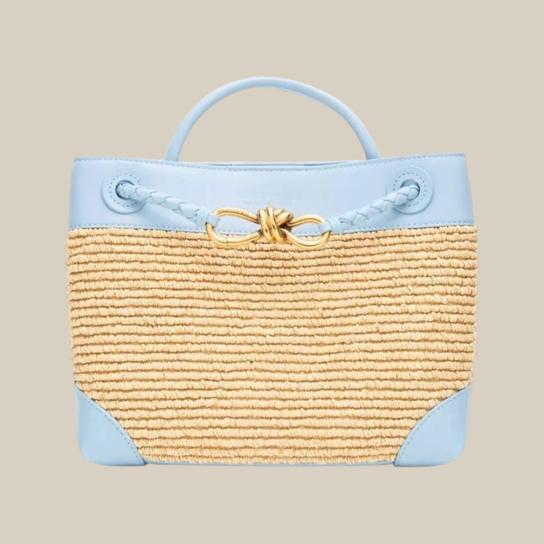 Bottega veneta small andiamo bag